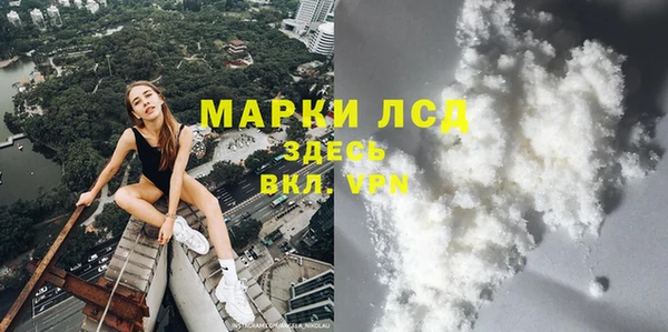 крисы Анжеро-Судженск