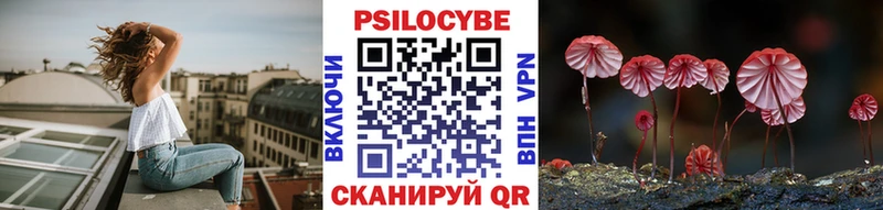 гидра рабочий сайт  Новомичуринск  Галлюциногенные грибы Cubensis  где купить наркотик 