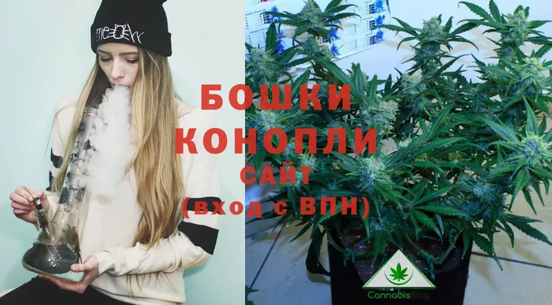 Каннабис White Widow  ОМГ ОМГ ссылки  Новомичуринск  дарнет шоп 